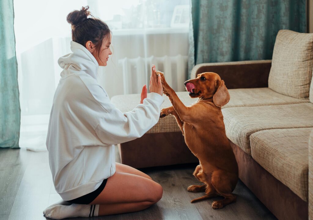 Entrena a tu perro para que vaya al baño